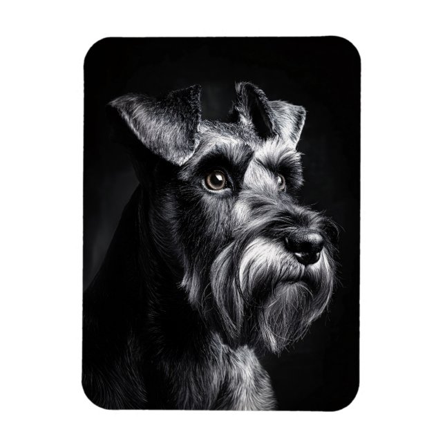 Schnauzer Monochromes Portrait Flexibel Magnet (Vertikal)