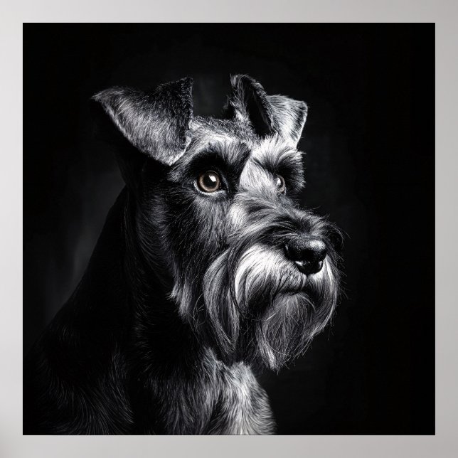 Schnauzer monochromes Porträt Poster (Vorne)