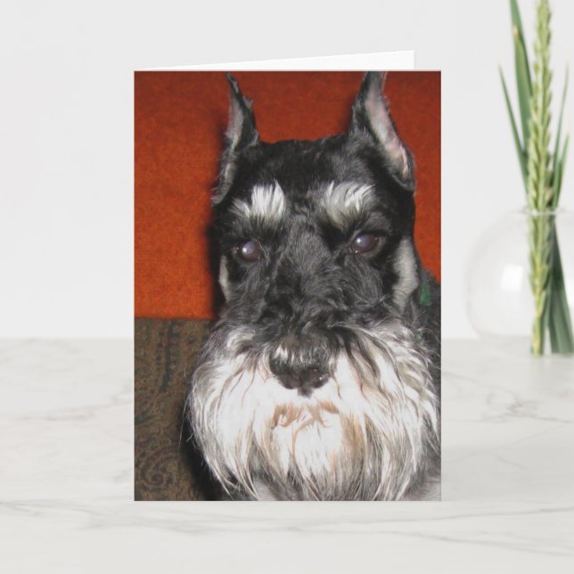 Schnauzer Note Card Karte (Vorderseite)