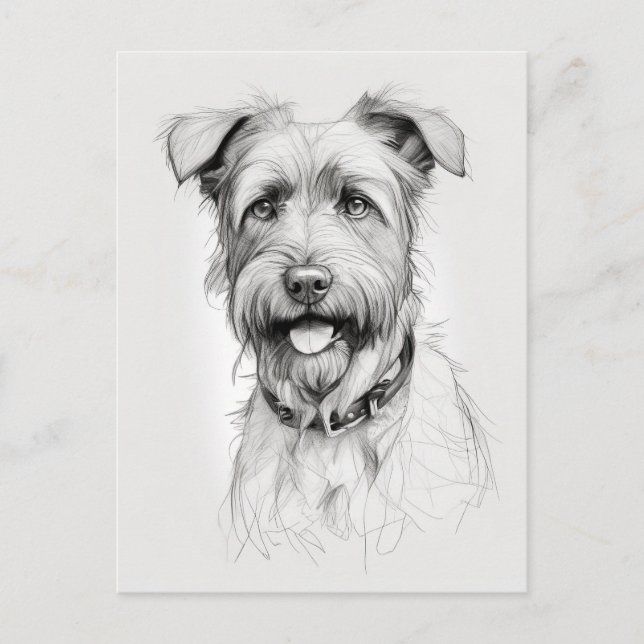 Schnauzer Portrait Pencil Sketch Postkarte (Vorderseite)