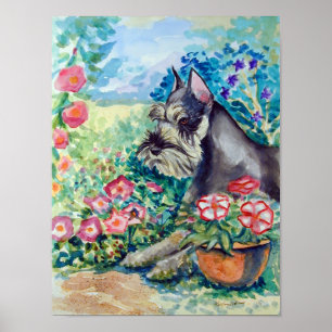 Schnauzer Poster Wall Print
