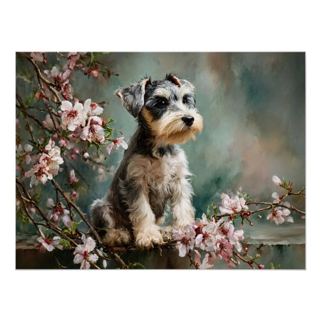 Schnauzer Puppy Among Spring Cherry Blossoms Poster (Vorderseite)