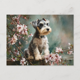 Schnauzer Puppy Among Spring Cherry Blossoms Postkarte