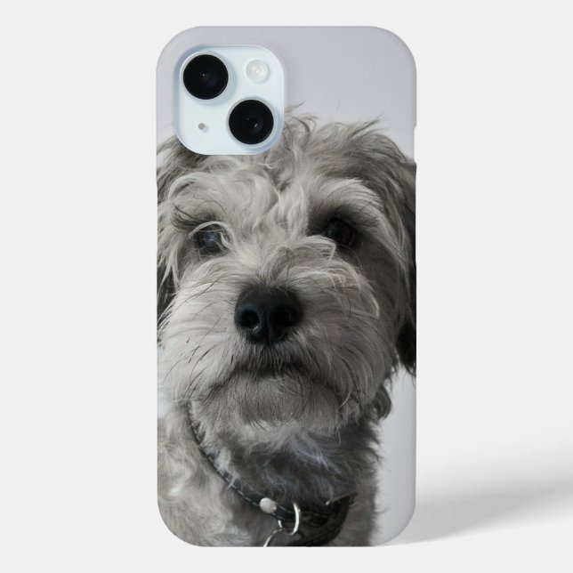 Schnauzer Puppy Case-Mate iPhone Hülle (Rückseite)