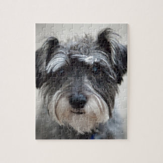 Schnauzer Puzzle