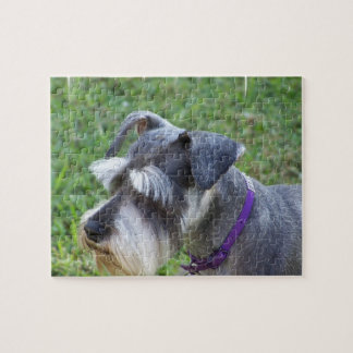 Schnauzer-Puzzlespiel Puzzle