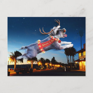 Schnauzer Reindeer Christmas Postcard - Benicia Postkarte