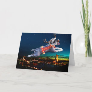 Schnauzer Reindeer Holiday Card - Carquinez Bridge Karte