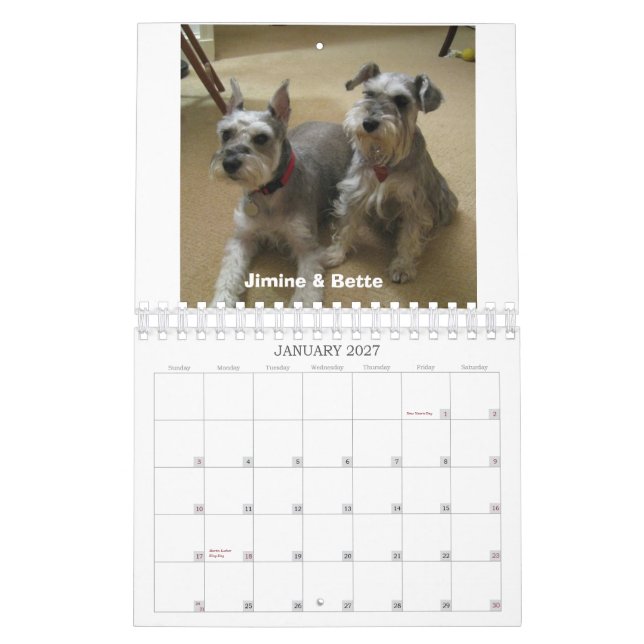 Schnauzer-Rettung Mittler-Atlantischen 2012 Kalender (Jan 2027)