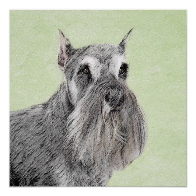 Schnauzer (Riese, Standard) Malerei - Hundekunst Poster (Vorderseite)