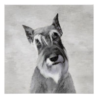 Schnauzer (Riesenmalerei) - Hundekunst