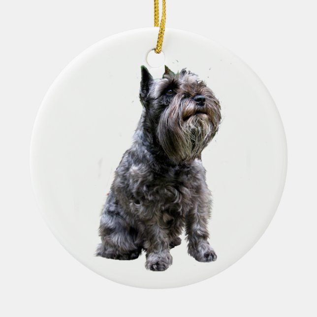 Schnauzer - Schwarz #1 Keramikornament (Vorne)