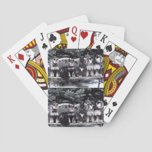 Schnauzer-Spielkarten Spielkarten