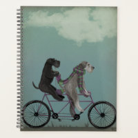 Schnauzer Tandem