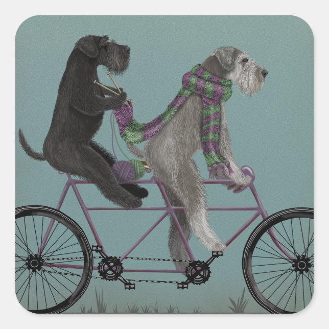 Schnauzer Tandem Quadratischer Aufkleber (Vorderseite)