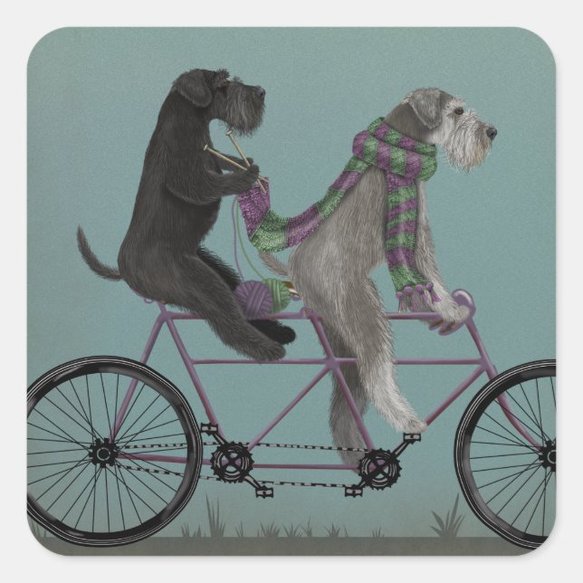 Schnauzer Tandem Quadratischer Aufkleber (Vorderseite)