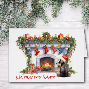 Schnauzer Terrier wartet auf den Weihnachtsfeuer