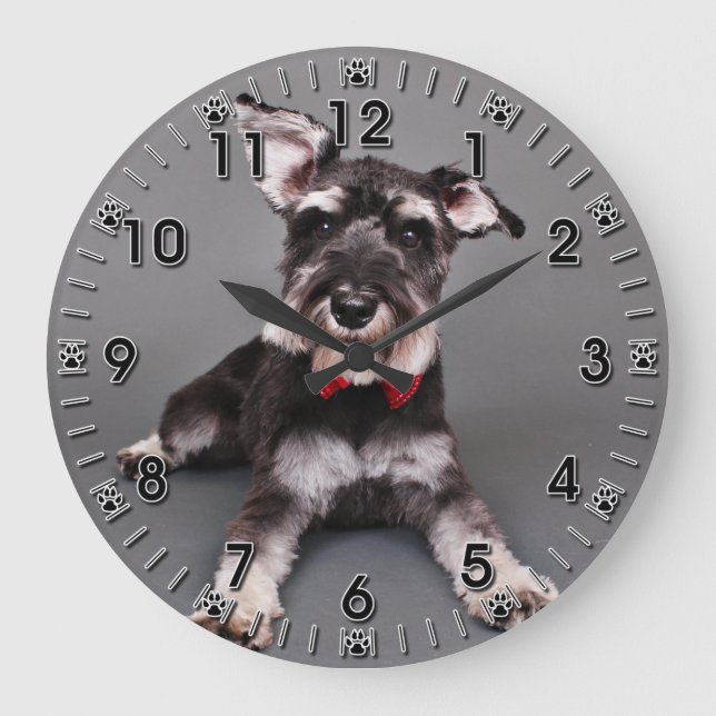 Schnauzer - Tom Dooley Große Wanduhr (Vorderseite)