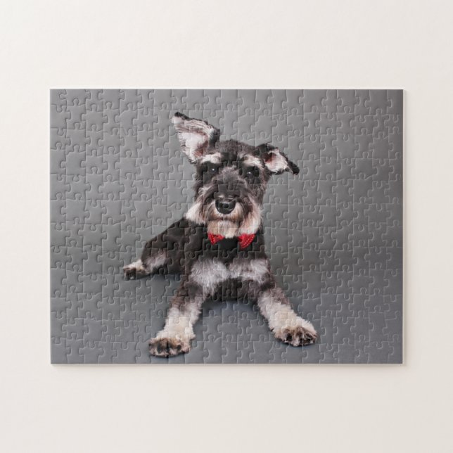 Schnauzer - Tom Dooley Puzzle (Horizontal)