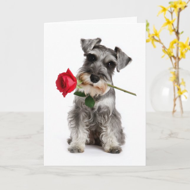Schnauzer Valentin Karte (Gelbe Blume)