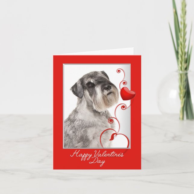 Schnauzer Valentine's Day Card Karte (Vorderseite)