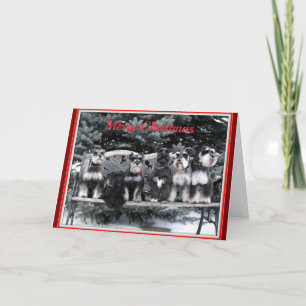 Schnauzer Weihnachtskarte Feiertagskarte