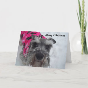Schnauzer Weihnachtskarte Feiertagskarte