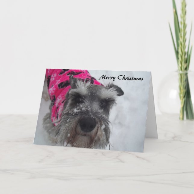 Schnauzer Weihnachtskarte Feiertagskarte (Vorderseite)