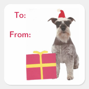 Schnauzer-Weihnachtsmannmütze-Geschenk etikettier Quadratischer Aufkleber