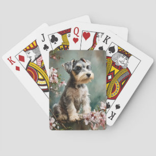 Schnauzer-Welpe Frühlings-Kirschblüten Spielkarten