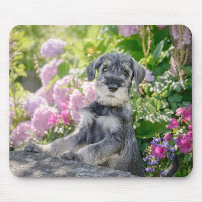 Schnauzer Welpe im Blumengarten Mousepad (Vorne)