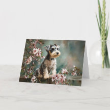 Schnauzer-Welpe unter Frühlings-Kirschblüten