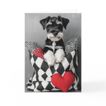 Schnauzer Welppy Valentine Card