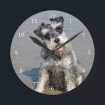 Schnauzerminiaturhundeniedliches Foto am Strand, Runde Wanduhr<br><div class="desc">Schönes Foto eines niedlichen Miniaturschnauzerhundes an der Strandwanduhr.  große Geschenkidee für Hundeliebhaber</div>