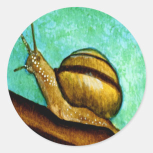 Schnecke 1 Aufkleber