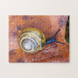 Schnecke auf Blatt-Puzzlespiel Puzzle