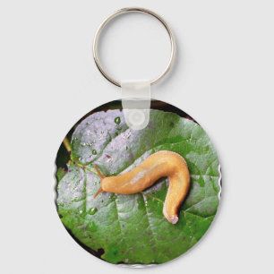 Schnecke auf Blatt-Schlüsselanhänger Schlüsselanhänger