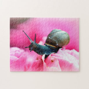 Schnecke auf Blume nah, Jigsaw Puzzle