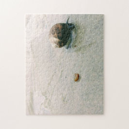 Schnecke auf dem Strand-Puzzlespiel Puzzle
