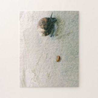 Schnecke auf dem Strand-Puzzlespiel Puzzle