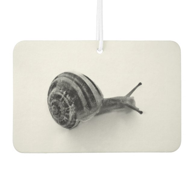 Schnecke Autolufterfrischer (Vorderseite)