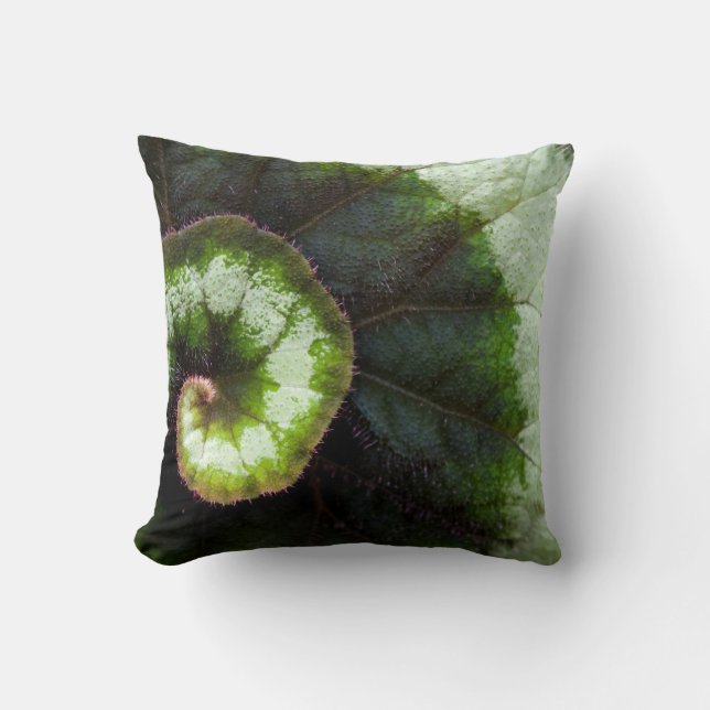 Schnecke-Begonien-Blatt Kissen (Vorderseite)
