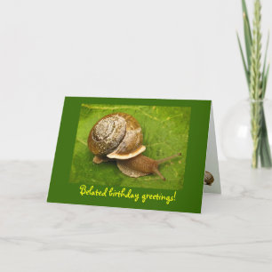 Schnecke Belated Geburtstag Karte