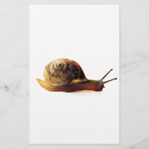 Schnecke Briefpapier
