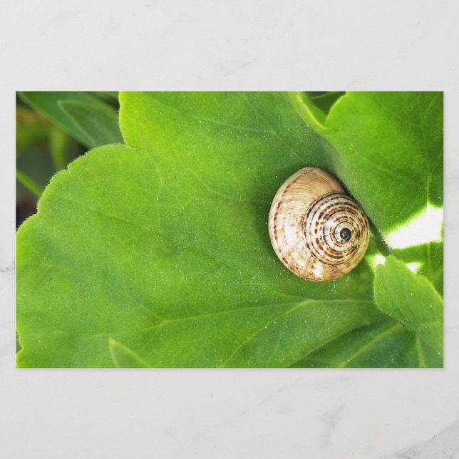 Schnecke Briefpapier (Vorderseite)