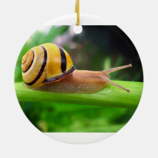 Schnecke Browns lippige Cepaea Nemoralis Keramik Ornament