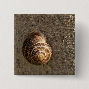 Schnecke Button