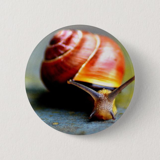 Schnecke Button (Vorderseite)