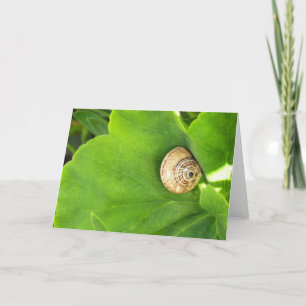 Schnecke Feiertagskarte