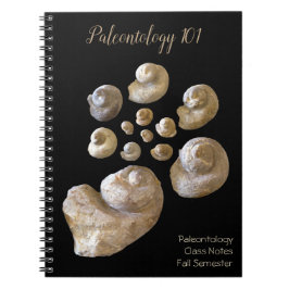 Schnecke Fossils Rock Foto Paleontologie Nr. Notizblock